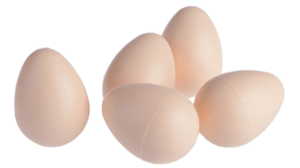 œuf factices pour poules